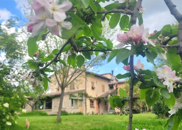 Casa Della Casa
