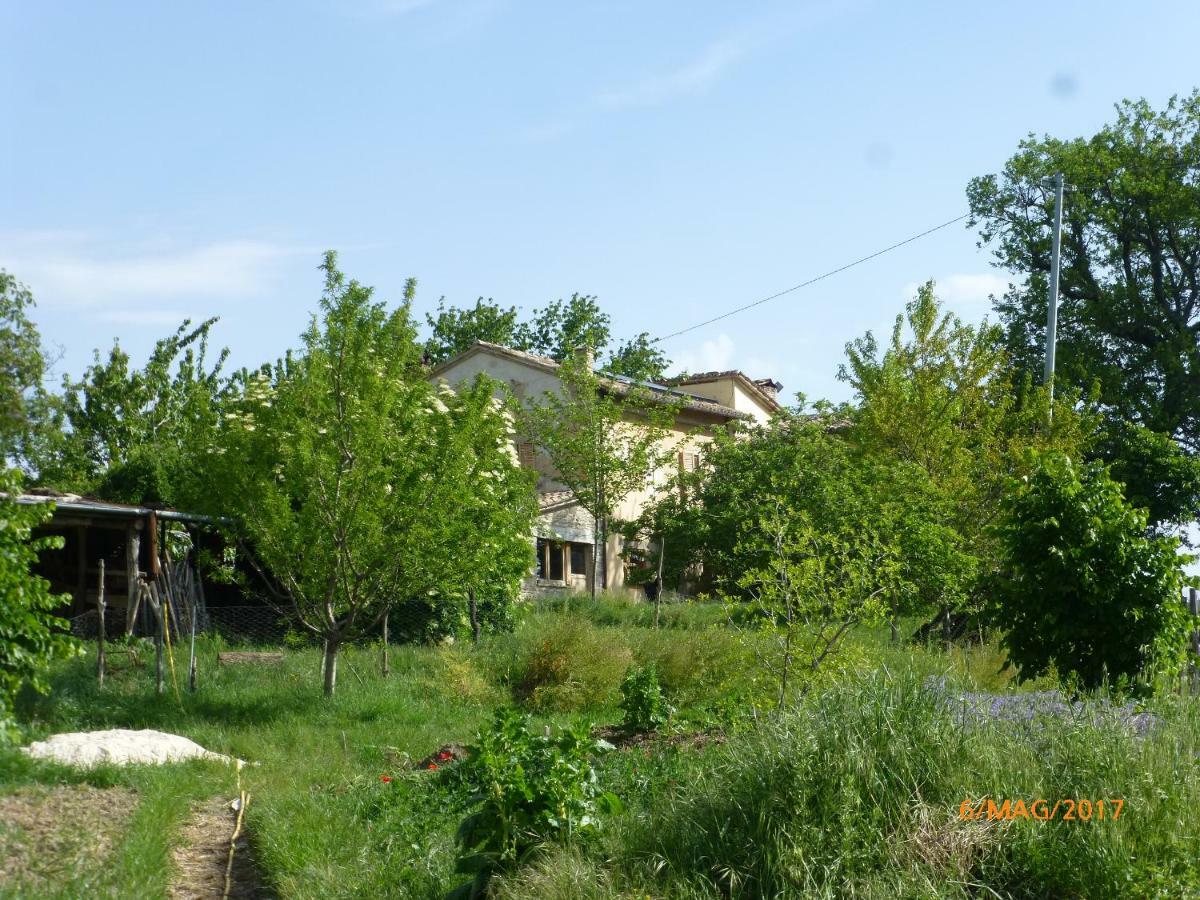 Casa Della Casa Apartment *